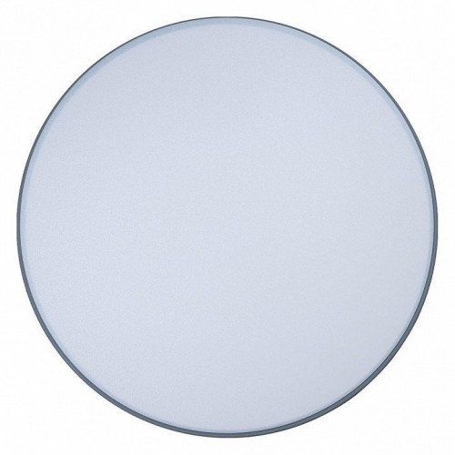 Потолочный светильник Loft IT Axel 10001/36 Grey