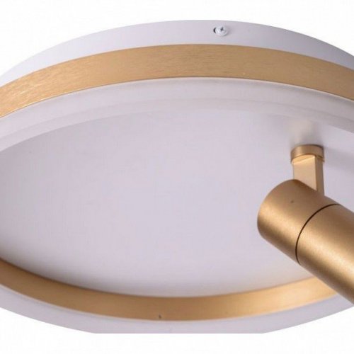 Потолочный светильник Zortes Raizy ZRS.1888.04