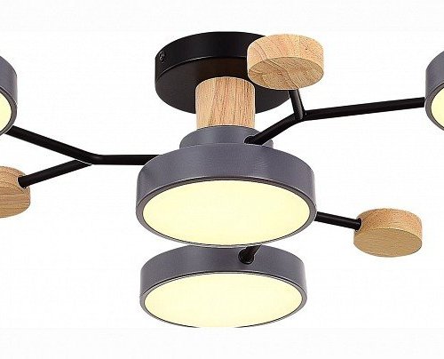 Потолочная люстра EVOLUCE Faema SLE6006-702-04