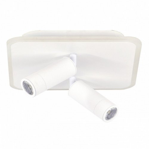 Накладной светильник Escada 20024SMA/01LED WH Накладной светильник Escada 20024SMA/01LED WH