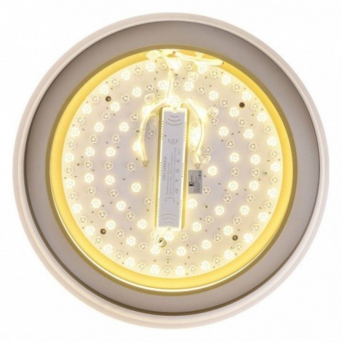 Потолочный светильник Zortes Adel ZRS.1200.01