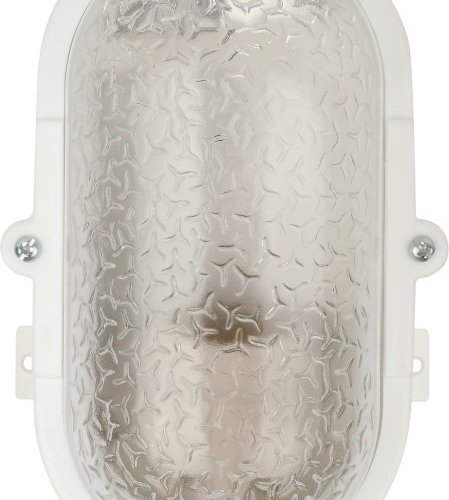 Потолочный светильник ЭРА НБП 01-60-012 Б0052016