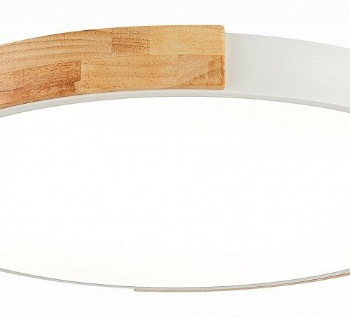 Потолочный светильник Evoluce Delia SLE201352-01