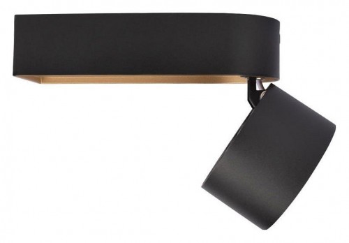 Спот Loft IT Knof 10324/A Gold Black