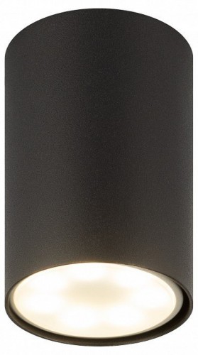 Накладной светильник Эра  OL57 BK