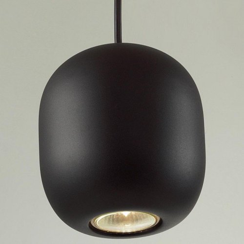 Подвесной светильник Odeon Light Cocoon 5060/1BA Подвесной светильник Odeon Light Cocoon 5060/1BA