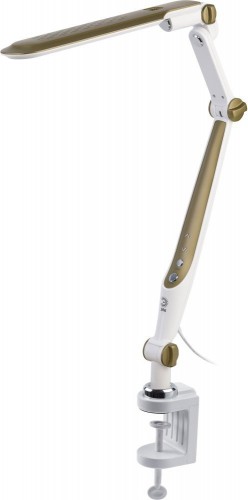 Офисная настольная лампа ЭРА NLED-496-12W-G