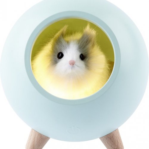 Ночник  NLED-468-1W-GR