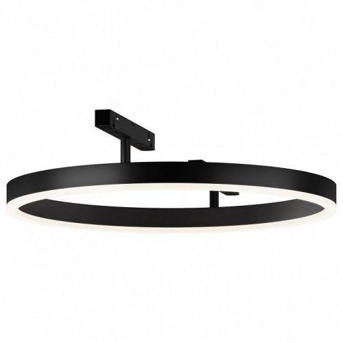 Трековый светильник Maytoni Rim TR227-2-24W4K-B