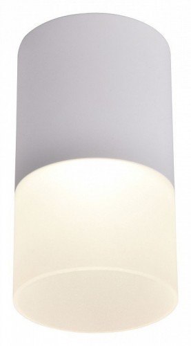 Потолочный светодиодный светильник Favourite Naram 3069-1C