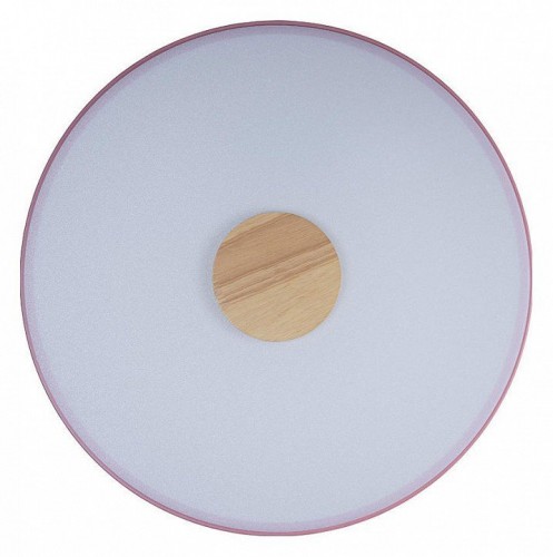 Потолочный светильник Loft IT Axel 10003/24 Pink