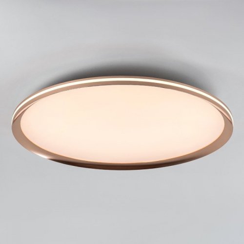 Потолочный светильник LED4U L3020-600 GD Потолочный светильник LED4U L3020-600 GD