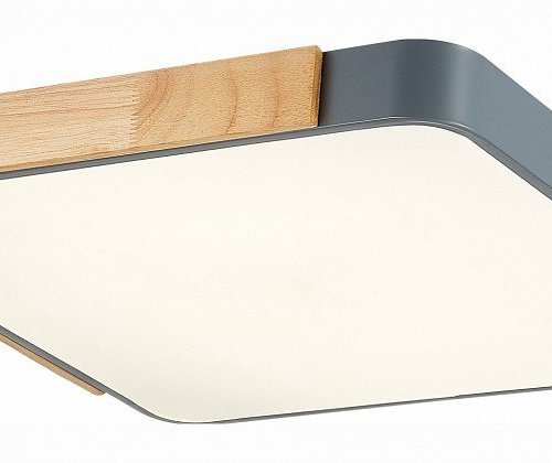 Потолочный светильник Evoluce Festa SLE201272-01