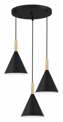 Подвесной светильник EVOLUCE Arket SLE1255-423-03 Подвесной светильник EVOLUCE Arket SLE1255-423-03