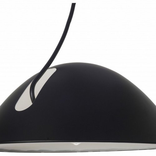 Подвесной светильник Zortes Korkee ZRS.1802.50