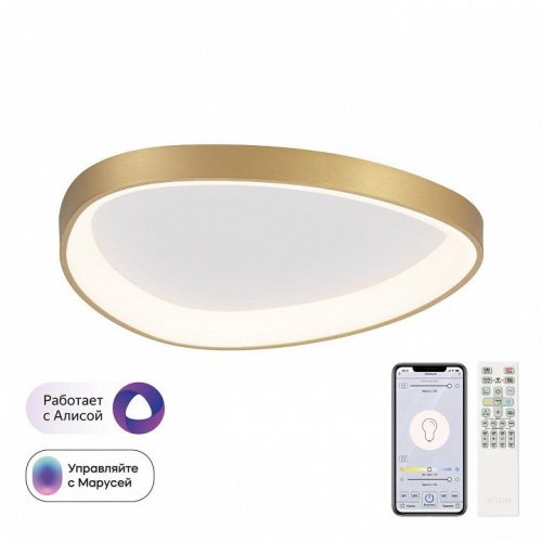 Накладной светильник Citilux GENKA SMART CL756A142