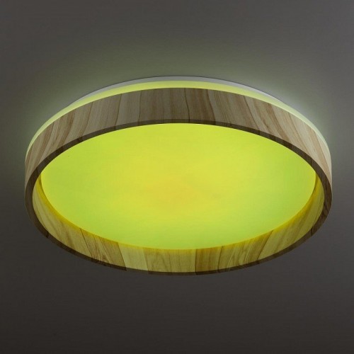 Накладной светильник Citilux ENZO CL753352G Накладной светильник Citilux ENZO CL753352G