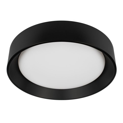 Потолочный светильник Coin 10202 BB Потолочный светильник Coin 10202 BB