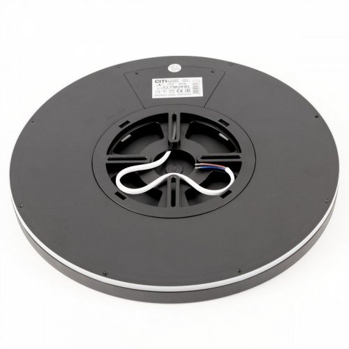 Настенно-потолочный светильник Citilux Basic Line CL738241EL