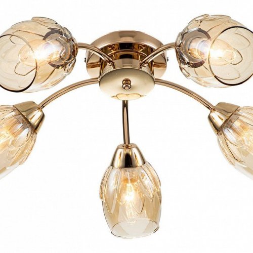 Потолочная люстра Escada Allium 663/5P