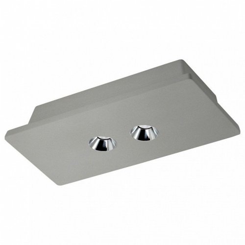 Потолочный светодиодный светильник Loft IT Architect OL1072-GH/3