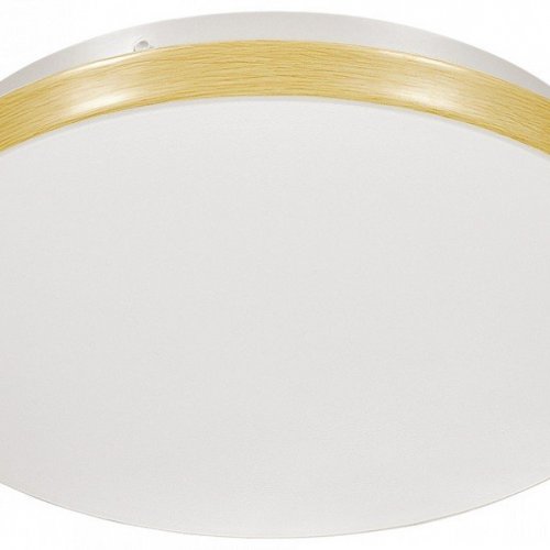 Настенно-потолочный светильник Sonex Smalli 3066/AL