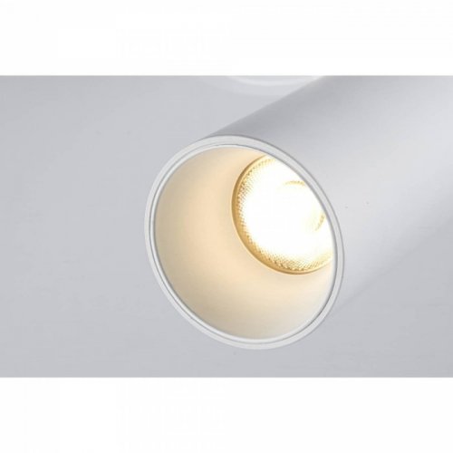 Спот Plum 100 WH