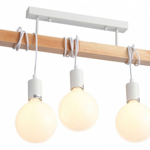 Потолочный светильник Evoluce Bagetti SL1142.503.03