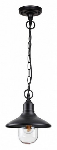 Уличный подвесной светильник Odeon Light Campa 4965/1