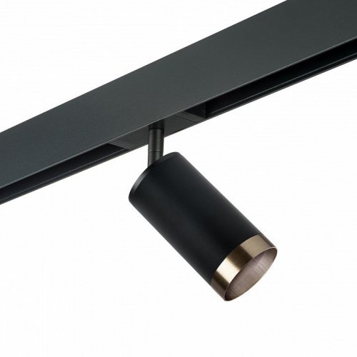 Светильник на штанге Lightstar Rullo PRO437431 Светильник на штанге Lightstar Rullo PRO437431