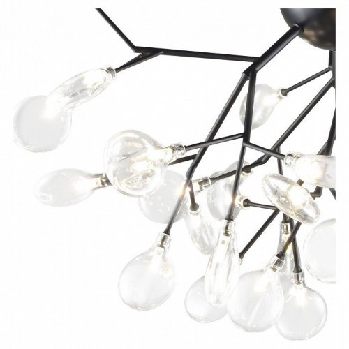 Потолочная люстра Natali Kovaltseva Grace ll GRACE 75126/36С BLACK Потолочная люстра Natali Kovaltseva Grace ll GRACE 75126/36С BLACK