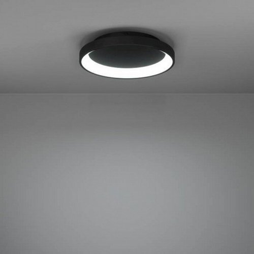 Потолочный светильник Loretello 901251 Потолочный светильник Loretello 901251