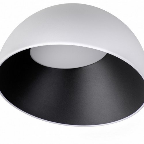 Потолочный светильник Loft IT Egg 10197/350 WB