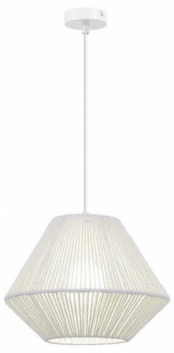 Подвесной светильник Evoluce ETTAN SLE6025-503-01 Подвесной светильник Evoluce ETTAN SLE6025-503-01