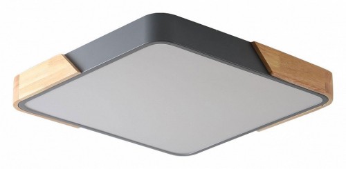 Потолочный светильник Zortes Alberro ZRS.01288.36