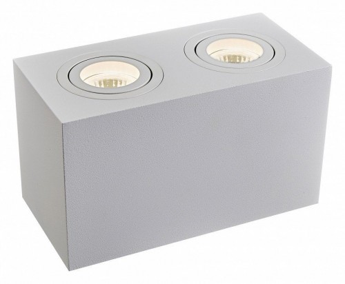 Потолочный светильник Maytoni Technical Atom C017CL-02W