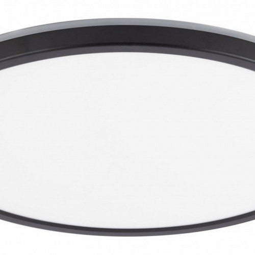 Настенно-потолочный светильник Citilux Basic Line CL738321EL