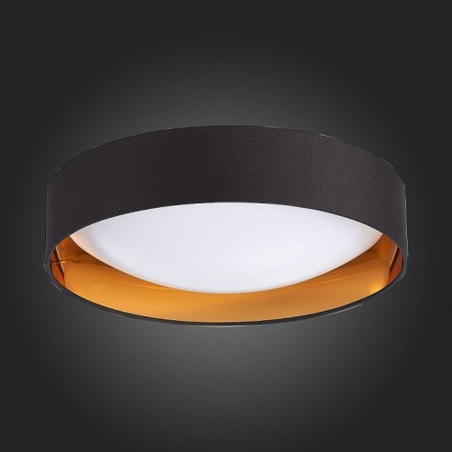 Потолочный светильник Evoluce Orbio SLE201102-01