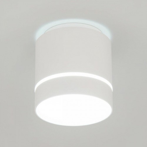 Накладной светильник Citilux Борн CL745020N