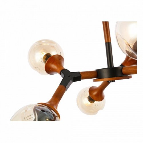 Потолочная люстра Evoluce Raquel SLE109402-06 Потолочная люстра Evoluce Raquel SLE109402-06