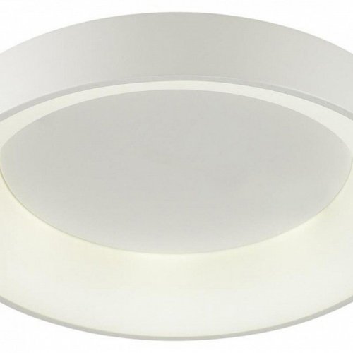 Потолочный светодиодный светильник Odeon Light Sole 4062/50CL