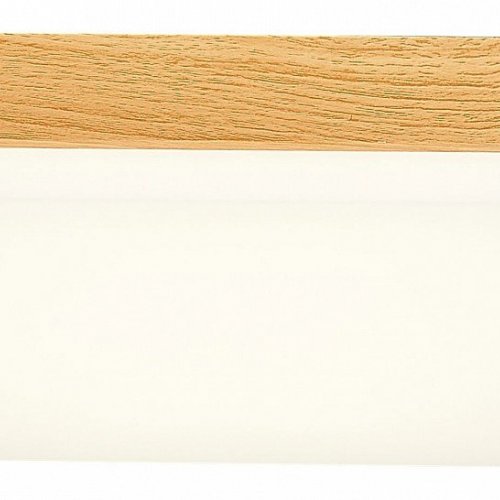 Потолочный светодиодный светильник Evoluce Taddio SLE200202-01