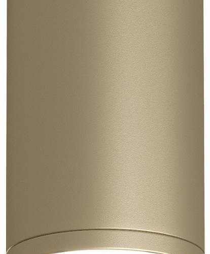 Накладной светильник Denkirs TUBE DK2050-SG