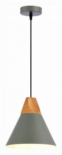 Подвесной светильник Evoluce MODICA SLE125113-01