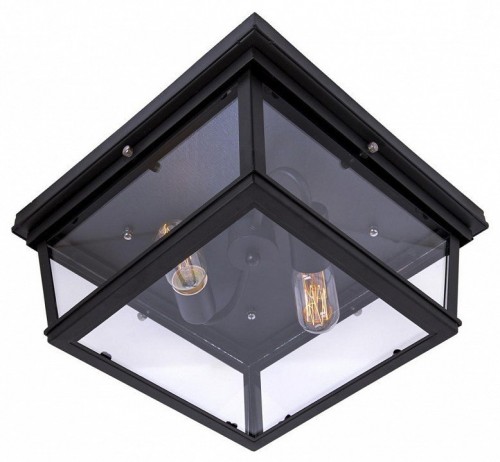 Потолочный светильник Loft IT Loft3110-2C