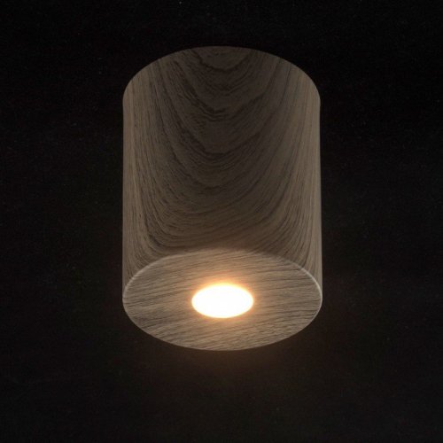 Потолочный светодиодный светильник DeMarkt Иланг 4 712010301