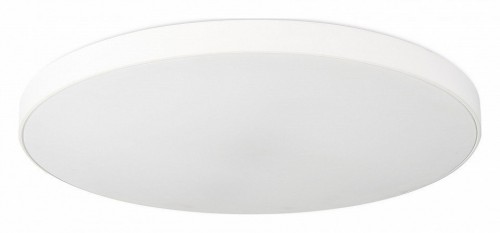Накладной светильник SIMPLE STORY 1204 1204-LED48CL