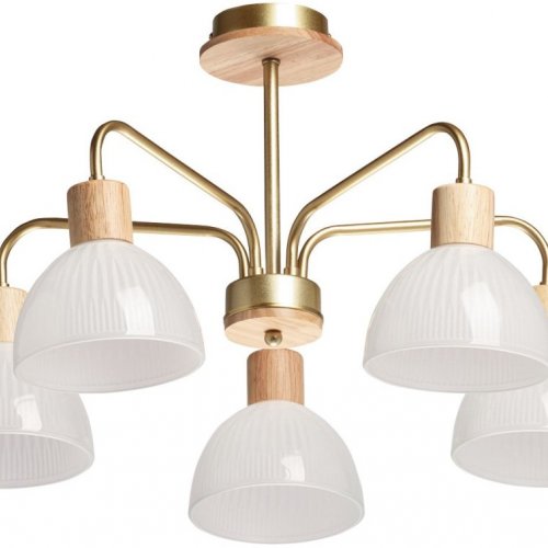 Потолочная люстра DeMarkt Дэла 635016405