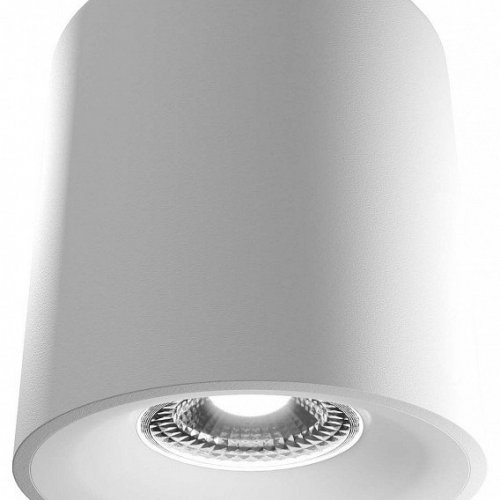 Накладной светильник LIGHTERA Shamrock LE201CL-1WB