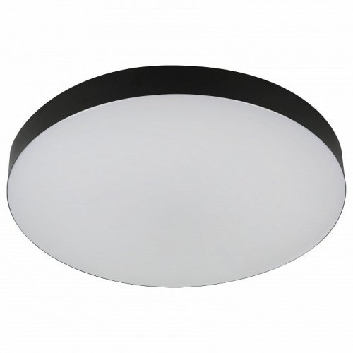 Потолочный светильник ЭРА Relict 48 Pult SPB-6-60-RC BK